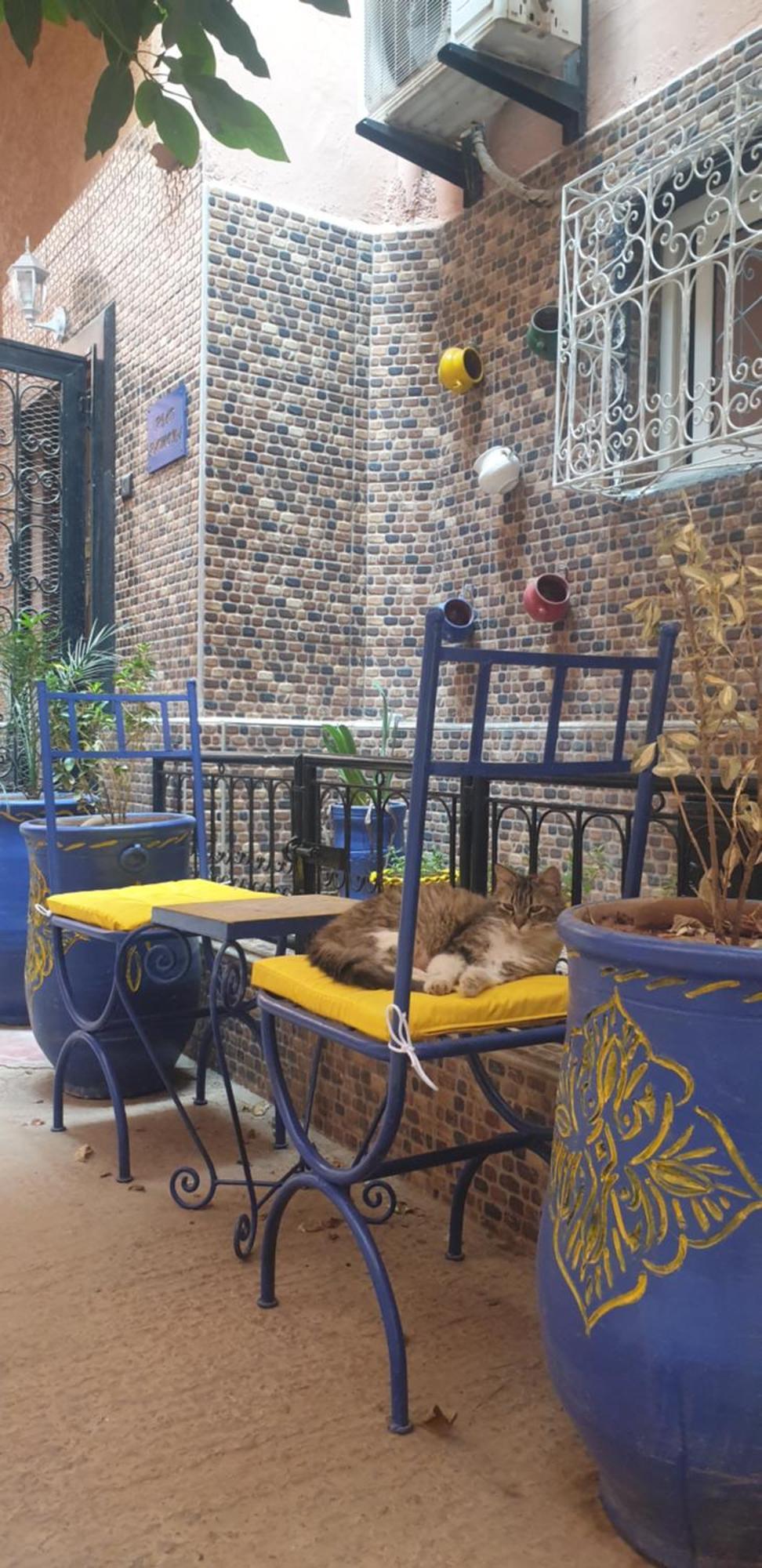 Riad Ramona Lqariya Seyaheya マラケシュ エクステリア 写真